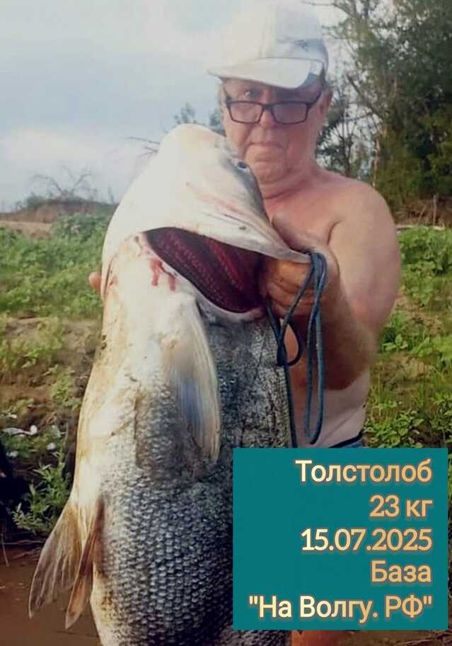 Услуги егеря